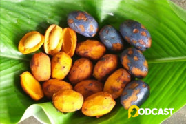 Podcast truyện ngắn: Tro kè vị quê