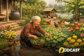 Podcast tản văn: Khu vườn của bà ngoại