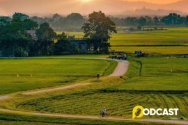 Podcast tản văn: Hương quê