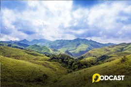 Podcats truyện ngắn: Mùa xuân biên giới