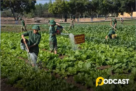 Podcast truyện ngắn: Bố tớ là bộ đội