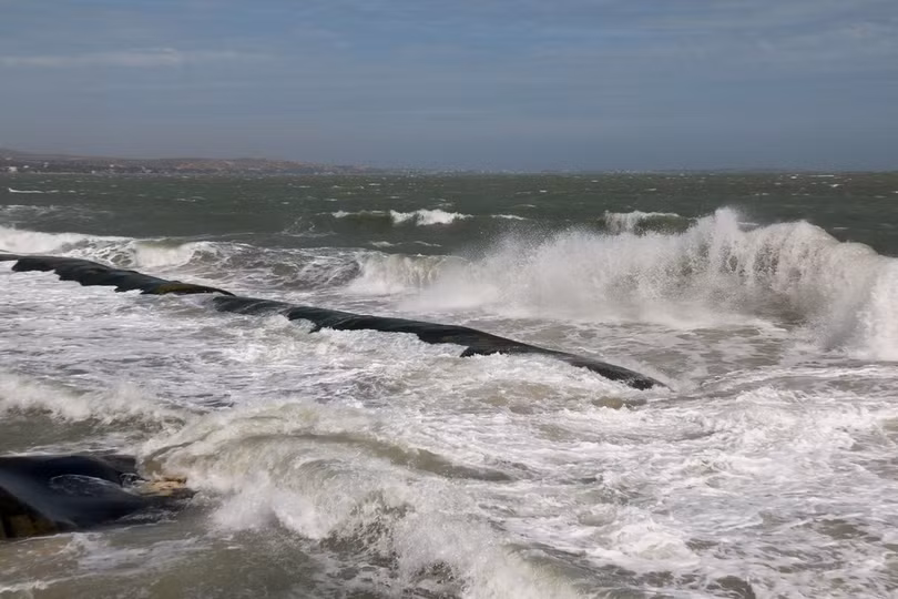 (Ảnh: Nguyễn Thanh/TTXVN)