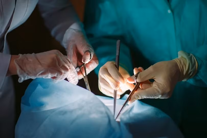 Ảnh minh họa: Shutterstock