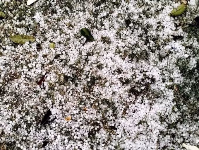 Mưa đá xảy ra ở các tỉnh miền núi phía Bắc ba ngày qua. Ảnh: Yên Bái