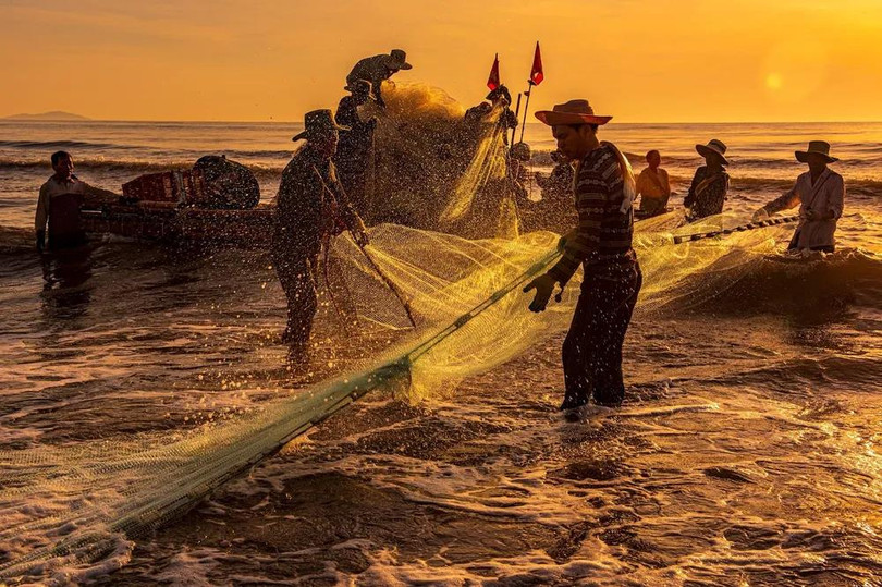 Khi lưới đã được thả xuống hoàn toàn, ngư dân kéo đầu mành lưới còn lại vào bờ. Mọi người cùng nhau chung sức kéo lưới, từng nhịp kéo đều đặn, dồn sức lực vào từng sợi dây thừng thô ráp. Lưới được kéo từ từ để tránh làm rách hoặc làm sổng cá.