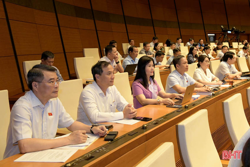 Đoàn đại biểu Quốc hội tỉnh Hà Tĩnh tham gia tại Kỳ họp thứ 7. 24.06.08.ChuongTrinhXDPL.3.JPG