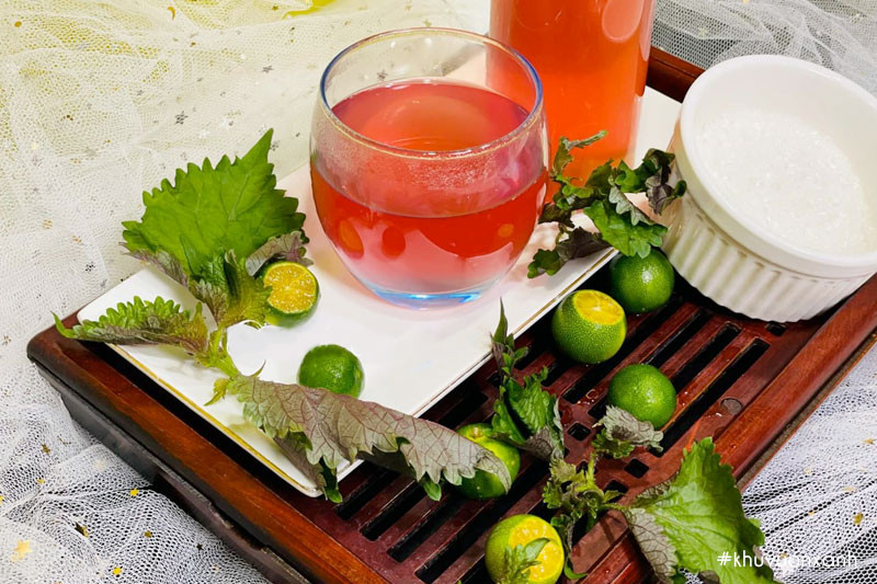 Dưới góc nhìn của y học cổ truyền, thì không nên dùng tía tô trong thời gian kéo dài vì nó có thể gây ra những hệ lụy cho sức khoẻ. Dưới góc nhìn của y học cổ truyền, thì không nên dùng tía tô trong thời gian kéo dài vì nó có thể gây ra những hệ lụy cho sức khoẻ.