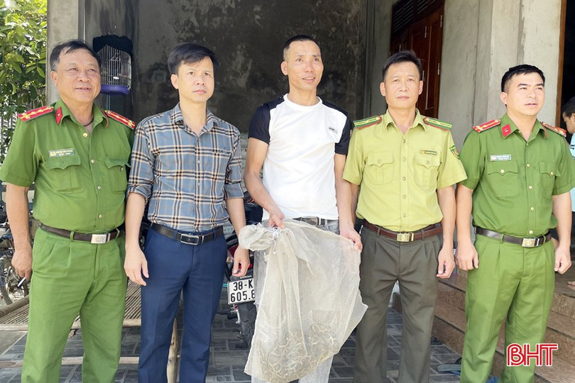 Cá thể trăn đất được gia đình anh Hồ Công Huy bàn giao cho lực lượng chức năng. 1.jpg