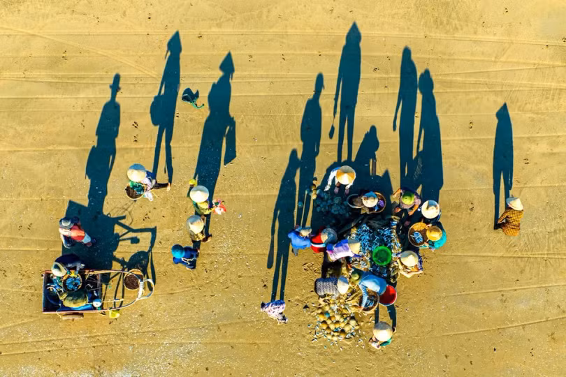 Sau khi kéo lưới vào, ngư dân chia nhau gỡ từng con cá mắc ở lưới, phân loại các loại cá, rồi thu nhặt bán cho thương lái.