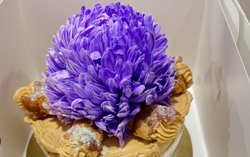 Chiếc bánh Taylor đặt khi ở Australia cuối tháng 2. Ảnh: ABC banh-taylor-5167-1709609690.png