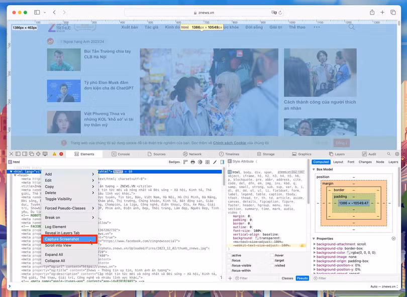 Nút chụp màn hình toàn trang web trong Safari.