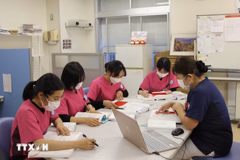 Một buổi học của các ứng viên điều dưỡng Việt Nam tại Bệnh viện Đại học Y Saitama. (Ảnh: Đào Thanh Tùng/TTXVN)