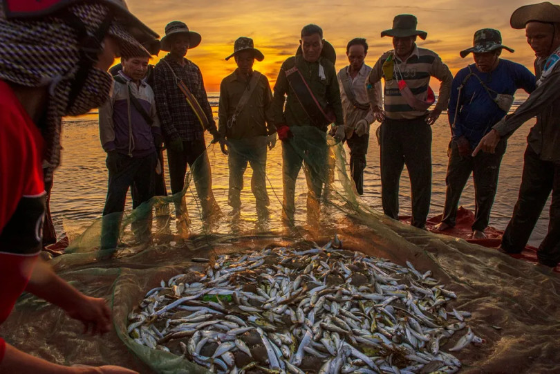 Niềm vui vỡ òa khi những mẻ lưới nặng trĩu được kéo lên bờ, lộ ra vô số những con cá bạc lấp lánh quẫy đạp. Có nhiều loại cá được kéo lên như cá đục, cá trích, cá nóc và một số hải sản khác. Mỗi loài mang một vẻ đẹp riêng biệt, tạo nên một bức tranh thiên nhiên sinh động dưới ánh mặt trời.