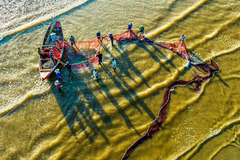 Khi ra đến vùng biển đã đánh dấu, các ngư dân bắt đầu thả lưới. Họ phối hợp nhịp nhàng, kéo con thuyền di chuyển theo đường vòng cung, tạo thành một vòng tròn khép kín trên mặt nước.