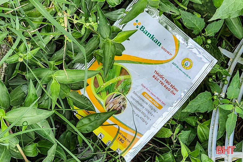 Rất dễ dàng bắt gặp hình ảnh vỏ thuốc bảo vệ thực vật vương vãi dọc bờ kênh mương, bên bờ ruộng (ảnh chụp tại xã Thạch Khê, huyện Thạch Hà).