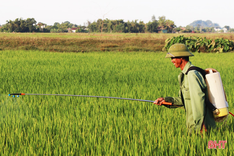 Bà con nông dân phun thuốc cần tuân thủ nghiêm ngặt nguyên tắc “4 đúng”. z5606344302156_6a925b92c7368dca78a57414588df184.jpg