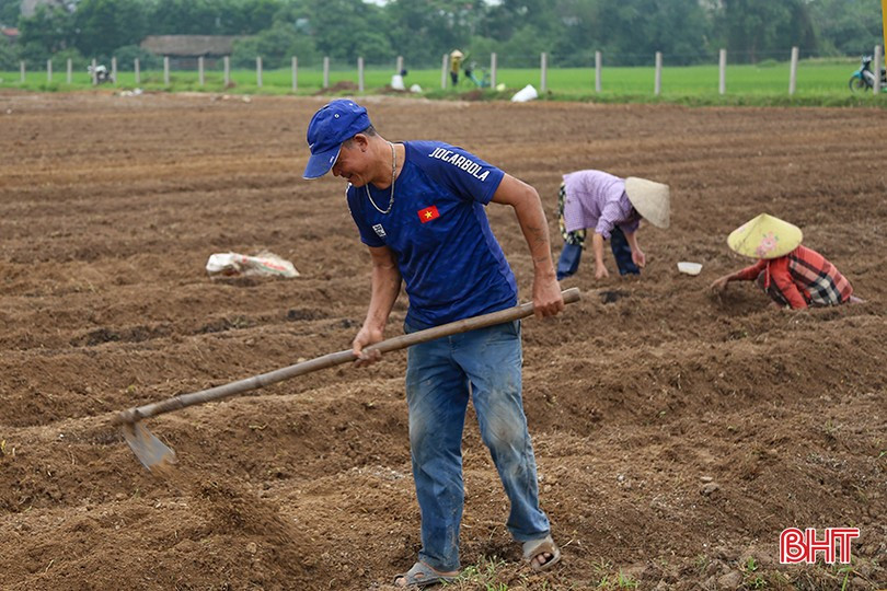 Công ty CP Tập đoàn Quế Lâm ưu tiên mở rộng và xây dựng các mô hình nông nghiệp hữu cơ. 6666.jpg