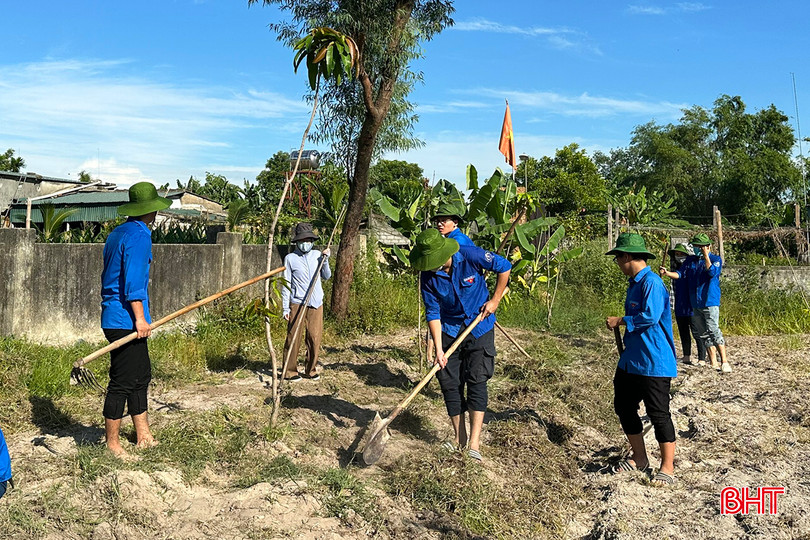 Đội sinh viên tình nguyện đồng hương Hà Tĩnh - Đại học Ngoại thương hỗ trợ xoá bỏ vườn tạp tại thôn Nam Thành (xã Cẩm Trung). az5608234551298_25f6c7bcb7fd0d40d89164160a13b29a.jpg