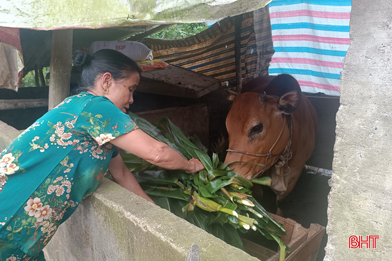 Hương Khê đang tập trung tuyên truyền người dân chủ động ngăn chặn dịch bệnh trên gia súc, gia cầm. 4.jpg