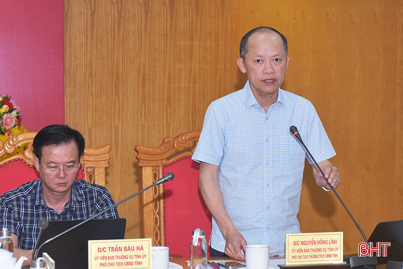 Phó Chủ tịch Thường trực UBND tỉnh Nguyễn Hồng Lĩnh phát biểu kết luận cuộc họp. 6.jpg
