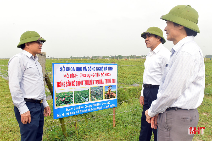 Đoàn kiểm tra dự án “Ứng dụng khoa học công nghệ xây dựng mô hình trồng thử nghiệm cây sâm bố chính tại huyện Thạch Hà". 5.jpg
