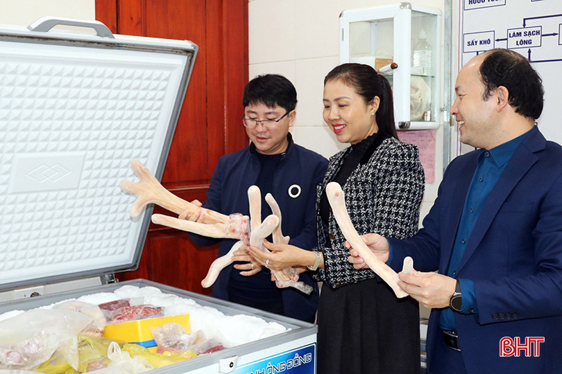 Thực tế cho thấy tiềm năng phát triển nghề chăn nuôi hươu còn rất lớn. 1.jpg