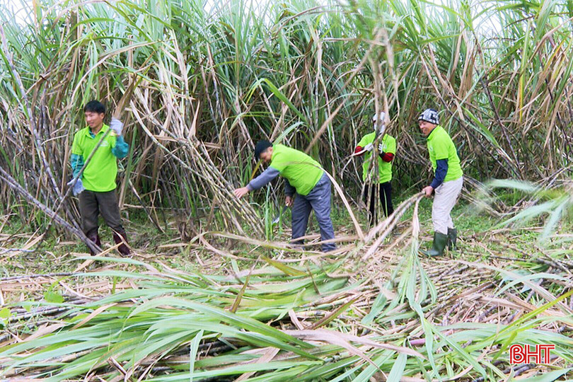Tổ hợp tác sản xuất mật mía Cường - Thùy ở xã Phú Gia đang là điển hình phát triển kinh tế để các địa phương lân cận nhân rộng. 1.jpg