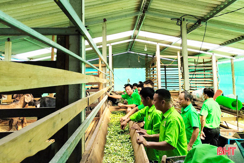 Mỗi quý, các cụm nông dân ở Hương Khê sẽ giao ban 1 lần, luân phiên tại các địa phương. 2.jpg