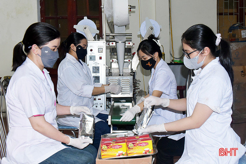 Trung tâm Nghiên cứu, phát triển Nấm và Tài nguyên sinh vật đã xây dựng và hoàn thiện quy trình sản xuất trà túi lọc nấm linh chi, và trà túi lọc nấm vân chi bằng công nghệ hiện đại. 3.jpg