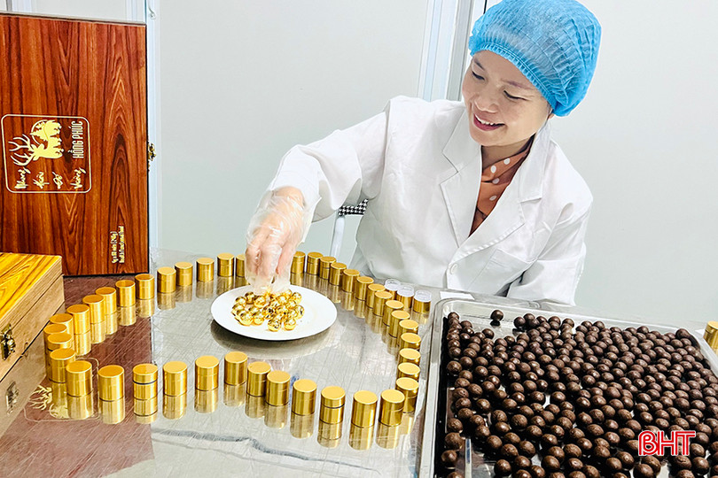Mặc dù một số người dân, doanh nghiệp đã nỗ lực tìm cách chế biến sâu các sản phẩm từ nhung hươu nhưng nhìn chung các công trình, kết quả nghiên cứu KHCN về nhung hươu còn hạn chế. 3.jpg