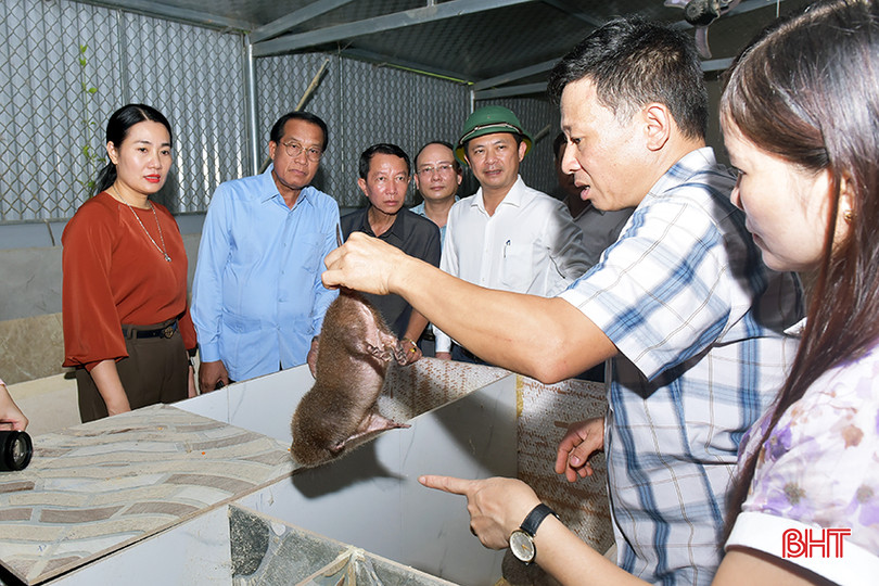 Đoàn đến tham quan mô hình nuôi dúi tại xã Đức Bồng. 2.jpg