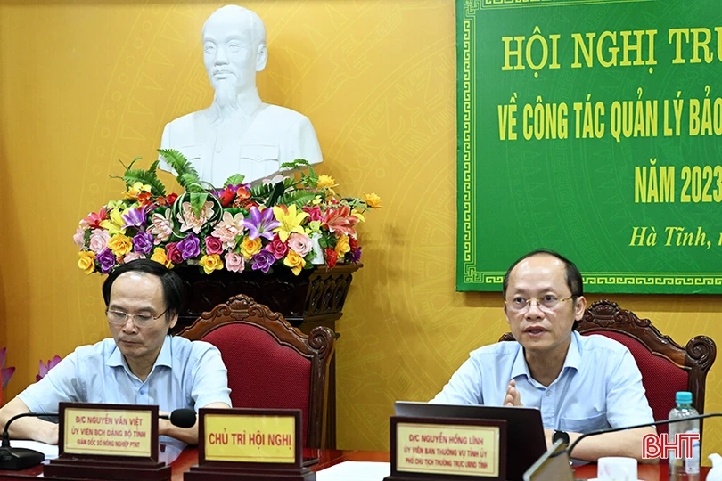 Phó Chủ tịch Thường trực UBND tỉnh Nguyễn Hồng Lĩnh phát biểu chỉ đạo điểm cầu Hà Tĩnh.