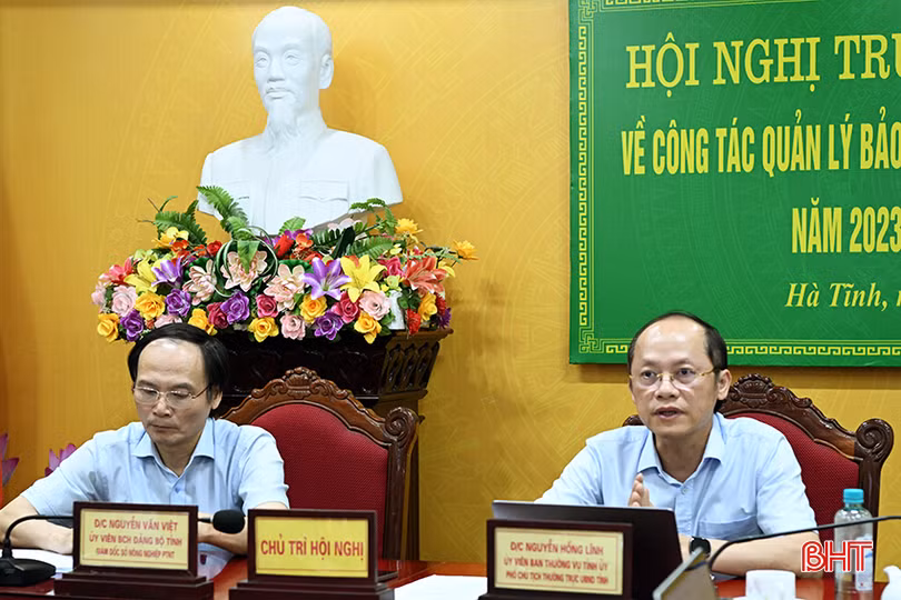 Phó Chủ tịch Thường trực UBND tỉnh Nguyễn Hồng Lĩnh phát biểu chỉ đạo điểm cầu Hà Tĩnh.