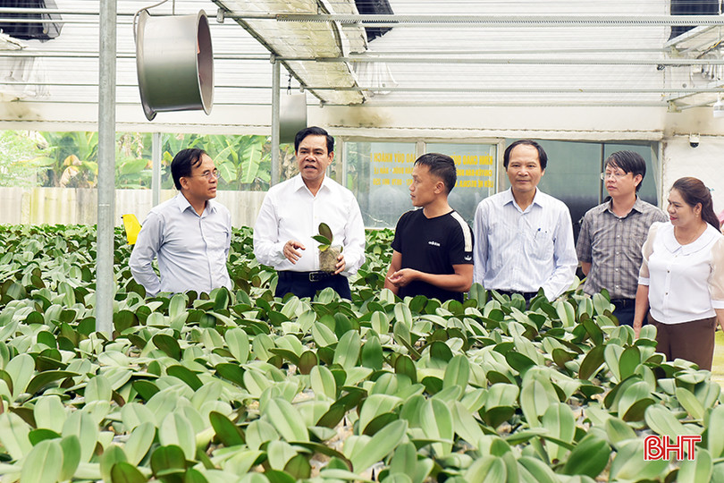 Lãnh đạo tỉnh Hà Tĩnh thường xuyên quan tâm và chỉ đạo các sở, ngành tạo điều kiện cho các doanh nghiệp, người dân ứng dụng KH&CN vào sản xuất cũng như hỗ trợ KNĐMST. 3.jpg