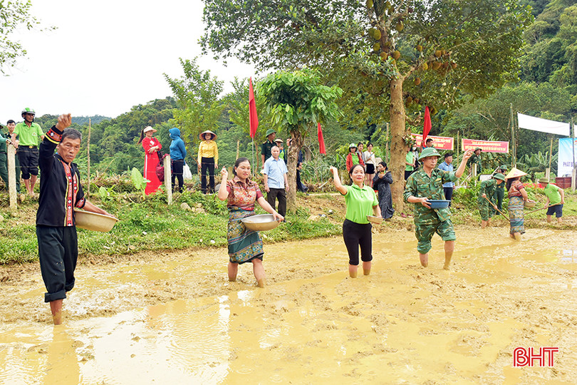 ... và xuống giống vụ hè thu. 3.jpg