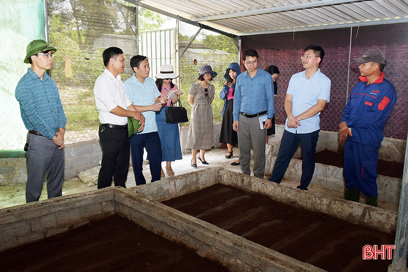 Đoàn khảo sát mô hình nuôi giun quế tại xã Cẩm Thạch. 3.jpg