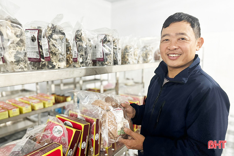 Công ty CP Đầu tư phát triển Phú Cường Đạt đã sản xuất thành công nhiều sản phẩm chế biến sâu từ cây nấm. 5.jpg