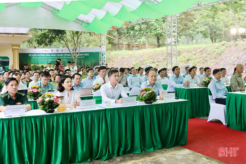Đại biểu tham dự sự kiện. 0107.jpg