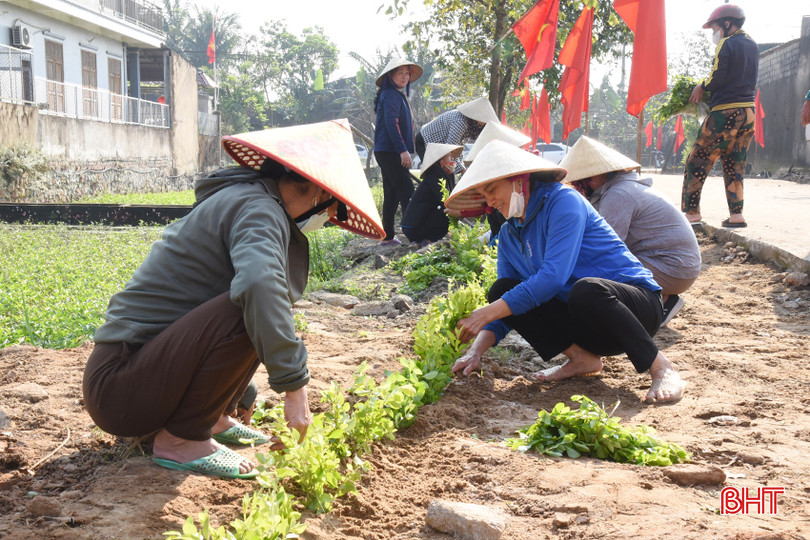 Phụ nữ xã Bình An ra quân cao điểm chỉnh trang nhà sạch vườn đẹp gắn với mở rộng đường sá, trồng hàng rào xanh, chăm sóc cảnh quan. DSC_2895 - Copy.JPG
