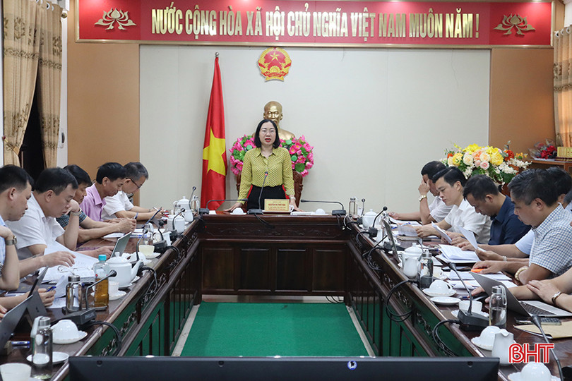 Trưởng ban Kinh tế - Ngân sách HĐND tỉnh Nguyễn Thị Thúy Nga chủ trì cuộc làm việc. IMG_3797.JPG