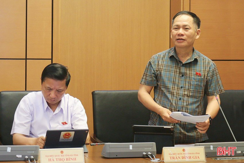 Phó Trưởng đoàn chuyên trách Đoàn ĐBQH tỉnh Hà Tĩnh Trần Đình Gia phát biểu thảo luận. z5550904139405_14a4435651660cb8ee0e7faf9e526210.jpg