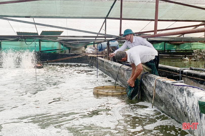 Mô hình nuôi tôm vụ xuân hè trong nhà lưới, ao bạt nổi của anh Tô Đình Lệ ở xã Mai Phụ. 2 (1).jpg