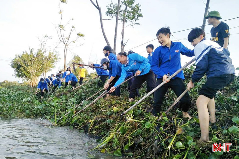 Đoàn viên thanh niên tham gia vớt bèo tây khơi thông dòng chảy, phục vụ sản xuất ở xã Ích Hậu. 5 - Copy.jpg
