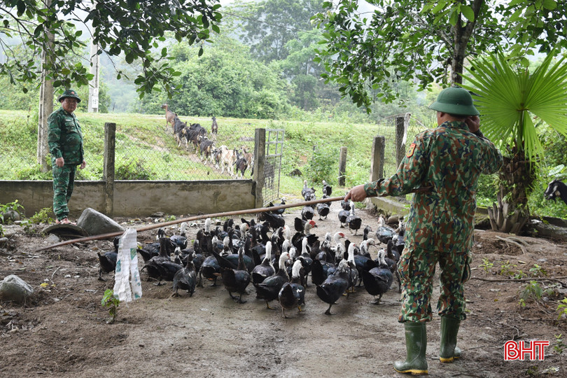 Đảm bảo lương thực, thực phẩm sạch cung cấp bữa ăn chất lượng cho bộ đội. DSC_0547 - Copy.JPG