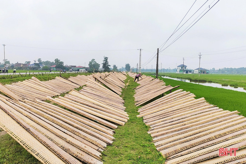 z5290896744125_5a9c0c60c43d53a4fdb1e19bb65b4354 - Copy.jpg