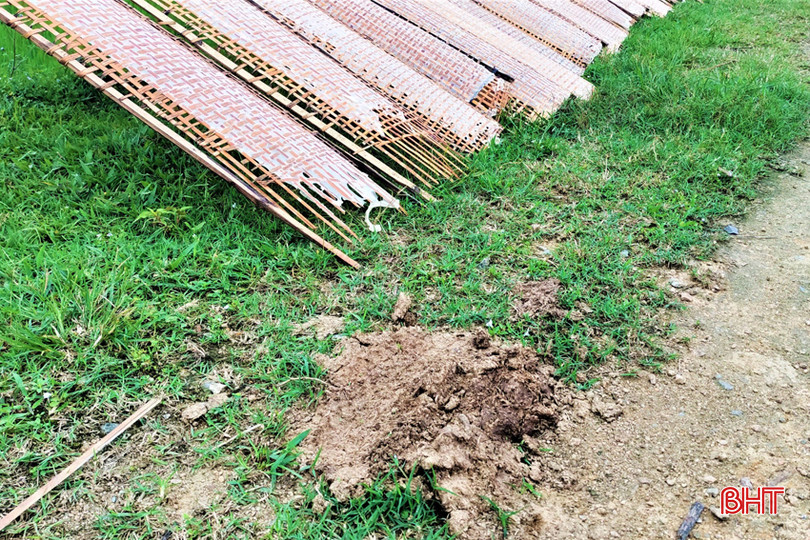 z5290896746096_64d51b847d84f0dbc50ab60b88930db7 - Copy.jpg