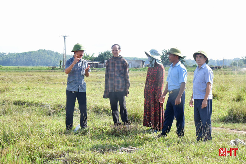 Các đoàn công tác chỉ đạo cơ sở ở Lộc Hà tập trung chỉ đạo, giám sát, đôn đốc, hỗ trợ các địa phương thực hiện tích tụ, chuyển đổi ruộng đất lần 3. DSC_6894 - Copy.JPG