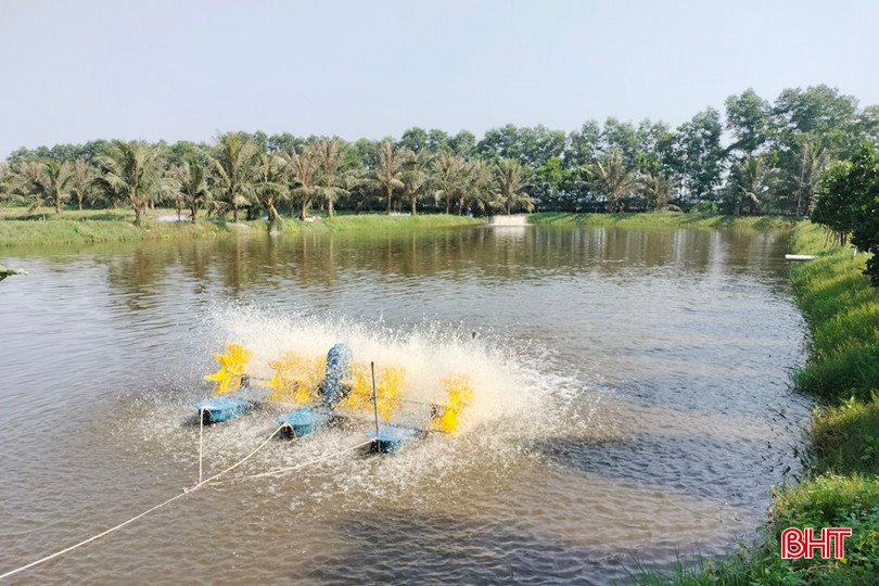 Nhiều hộ dân đang xử lý nước tại các hồ nuôi cá nước ngọt ven sông ở xã Tùng Lộc (Can Lộc) trước khi xuống giống. 3817 - Copy.jpg