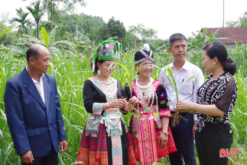 Cư dân các bản ven biên giới nước bạn Lào sang học tập kinh nghiệm sản xuất ở xã Sơn Kim 1. Bộ đội Biên phòng Cầu nối giúp ba con hai bên biên giới giao lưu, học hỏi trao đổi kinh nghiệm về phát triển kinh tế. Ảnh Thanh Giang - Copy.JPG