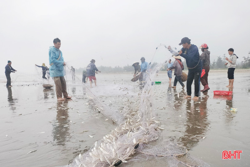 Ngư dân nhanh chóng gỡ lưới để thu hải sản. 5 - Copy.jpg